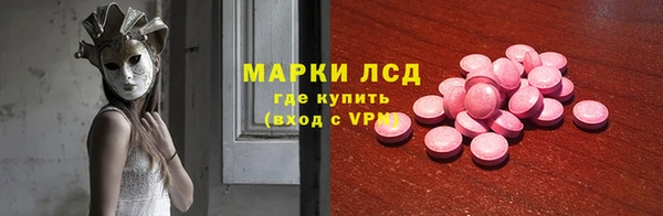 сатива Абинск