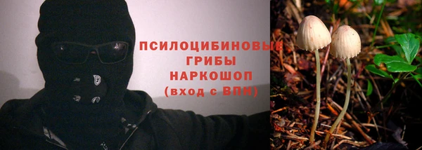 apvp Алзамай