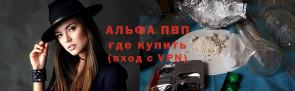 сатива Абинск