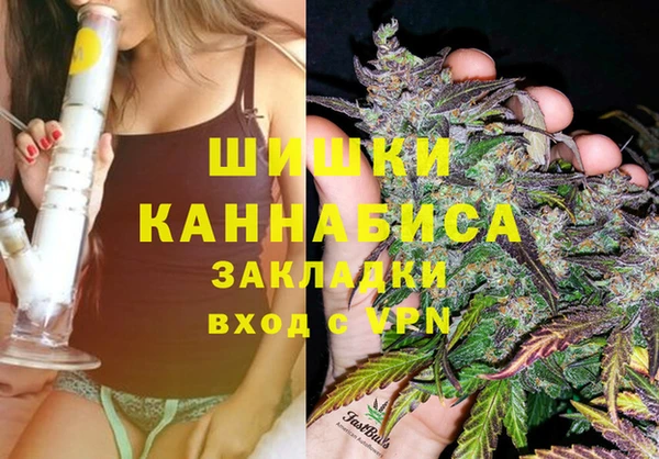 сатива Абинск