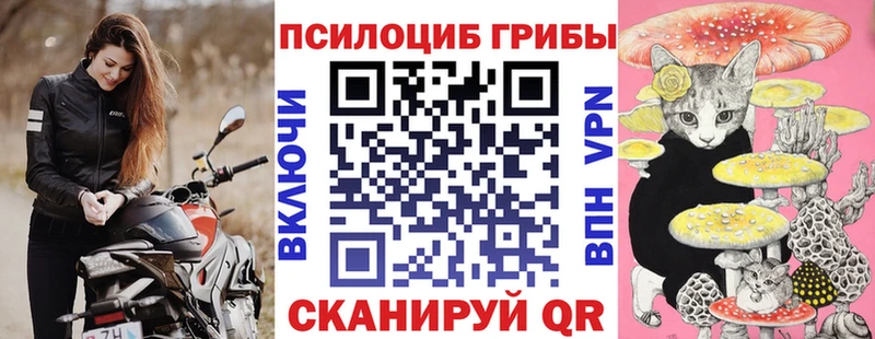как найти закладки  Благодарный  Псилоцибиновые грибы мухоморы 