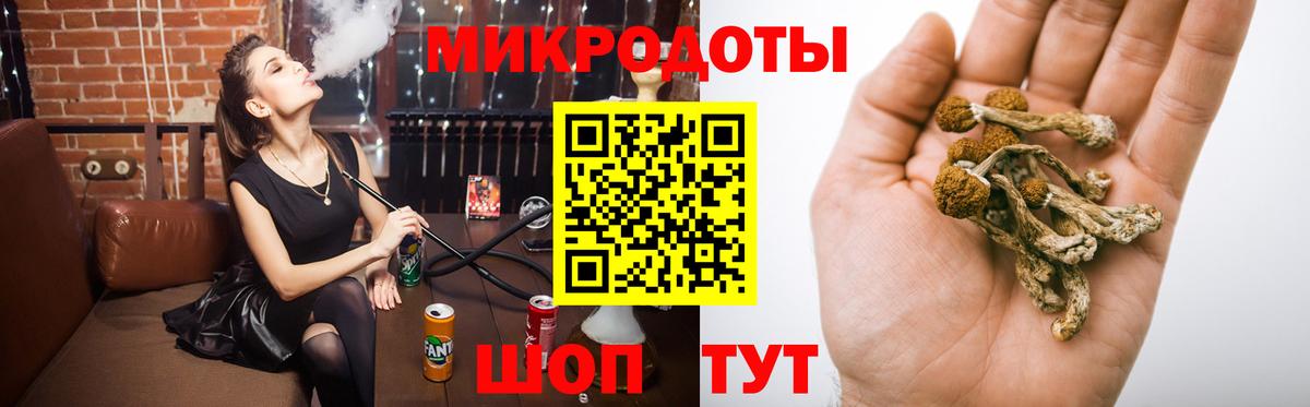 Благодарный  Псилоцибиновые грибы Psilocybine cubensis  Вход с VPN 